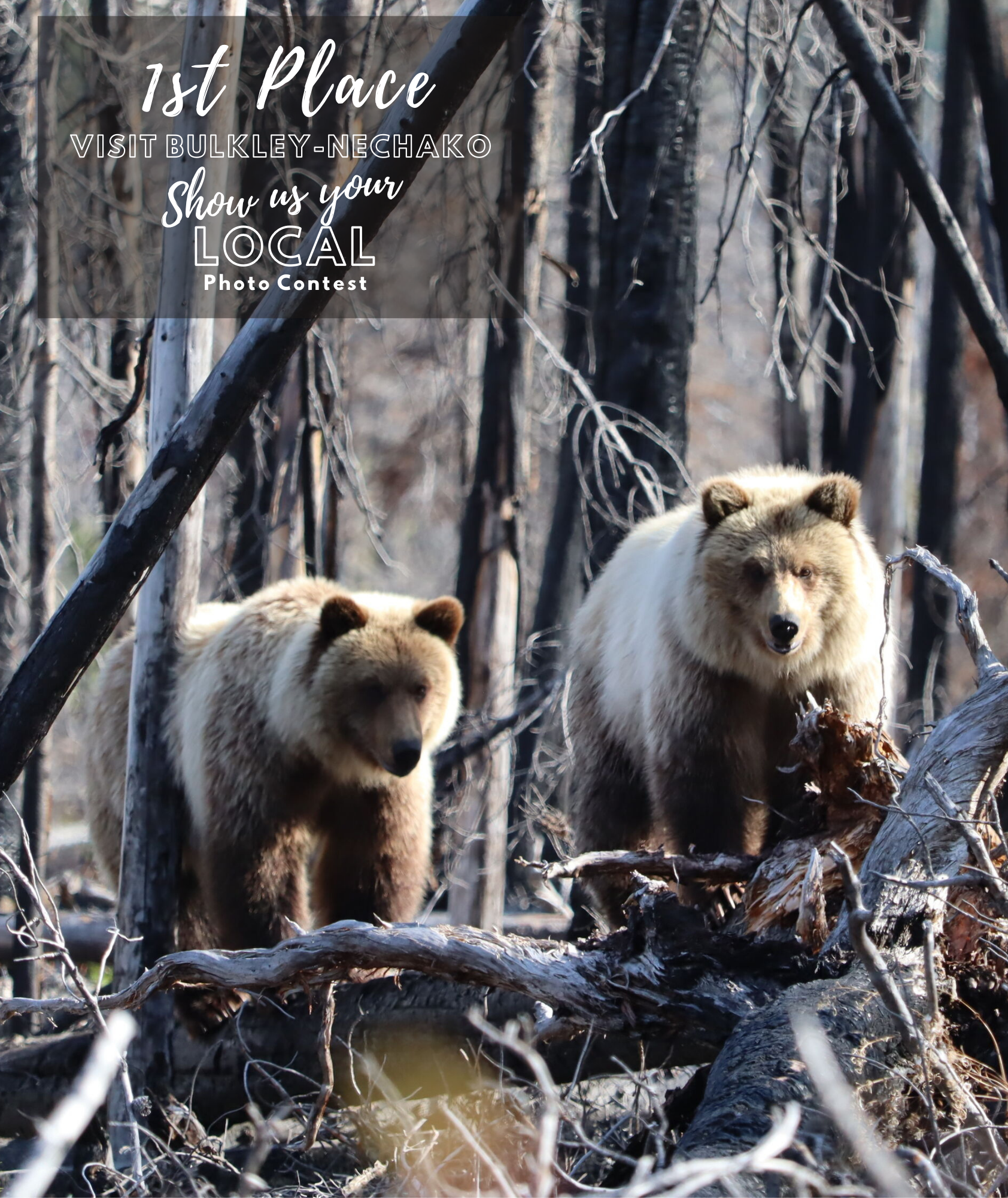 2025 Photo Contest 1st Place.png